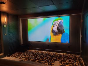 smart home theater showcasing a large screen projecting a bird on screen